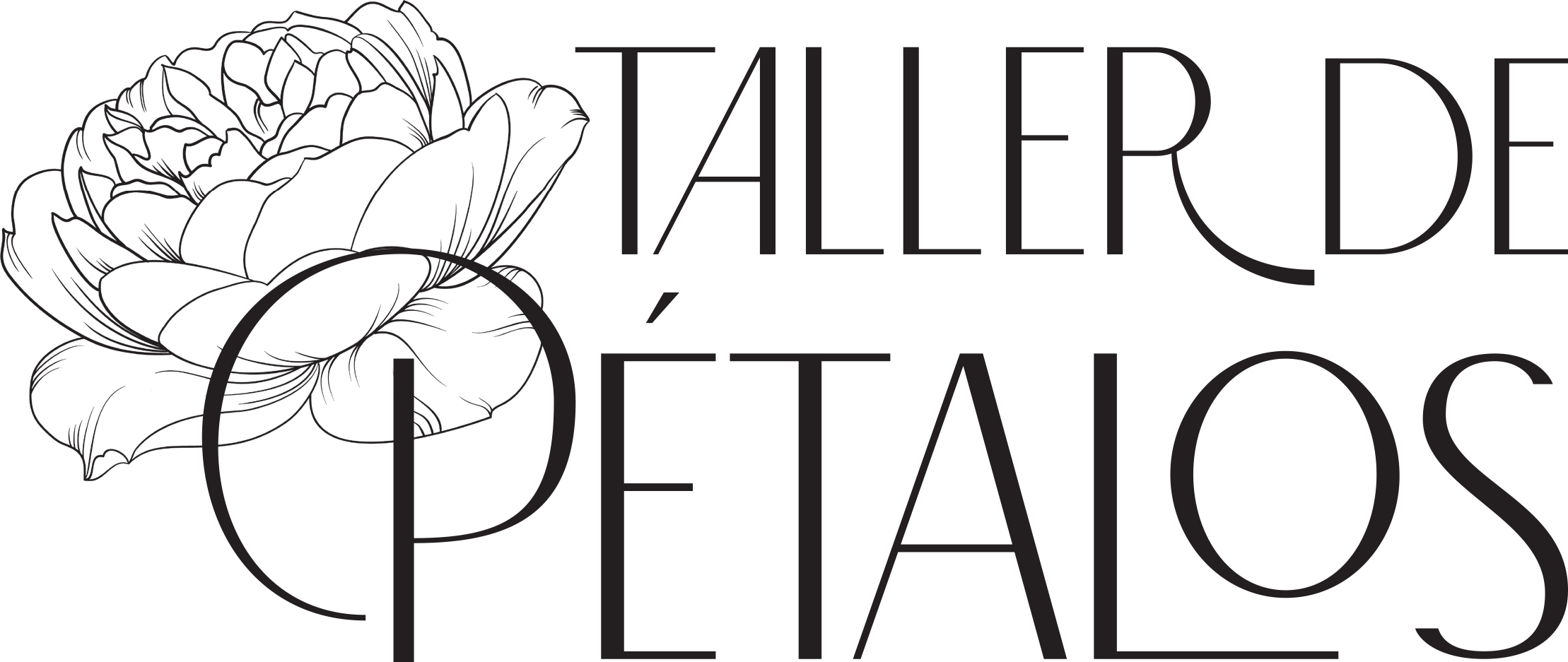 Taller De Petalos